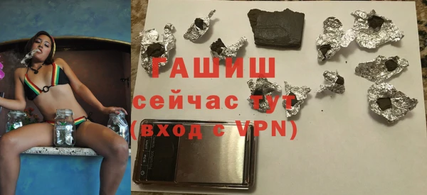 гашик Каменка