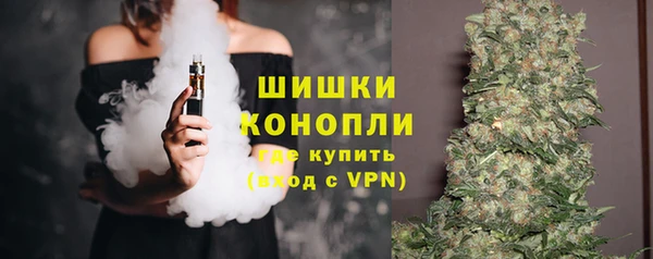 гашик Каменка