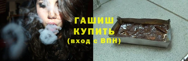 гашик Каменка