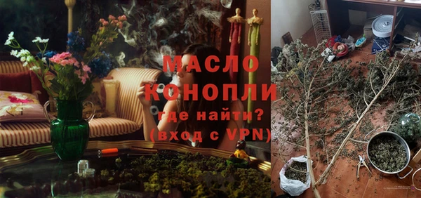 гашик Каменка