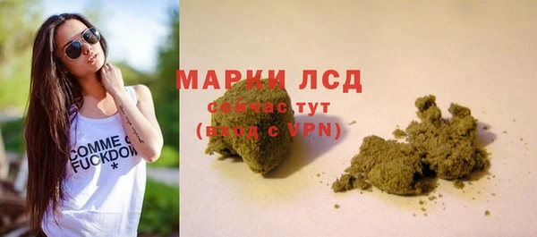 гашик Каменка