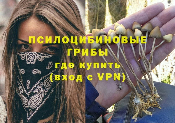 a pvp Каменск-Шахтинский