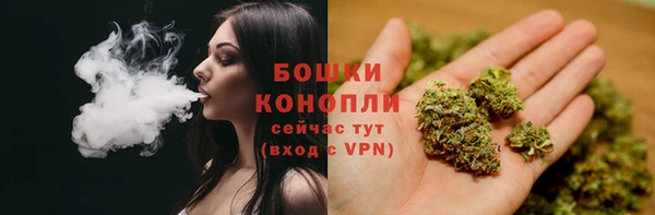 гашик Каменка