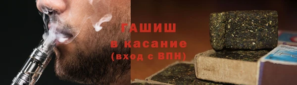 гашик Каменка