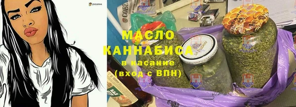 гашик Каменка