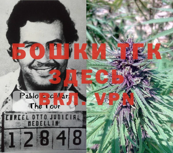 гашик Каменка
