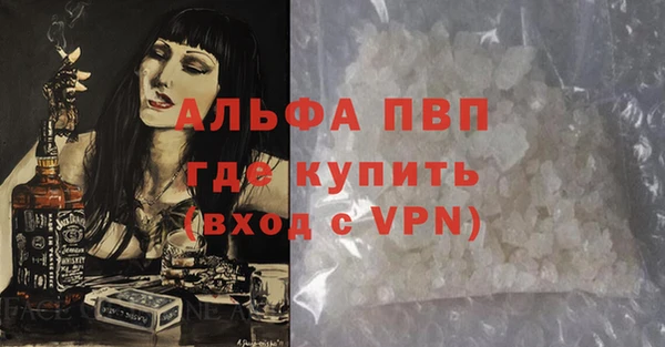 гашик Каменка