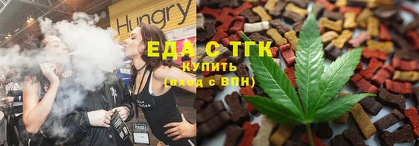 гашик Каменка